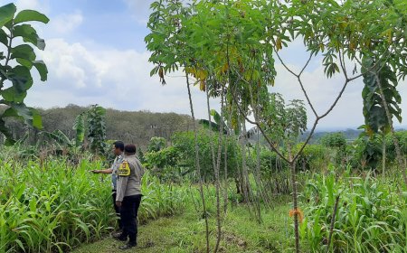 Polres Malang Ikut Pastikan Hasil Tani Warga Tersalurkan dengan Baik