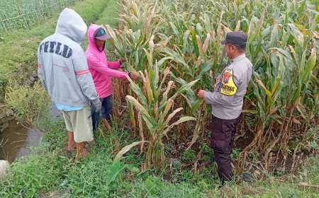 Lewat Desa Binaan, Polisi Dorong Warga Aktif Kelola Lahan Produktif