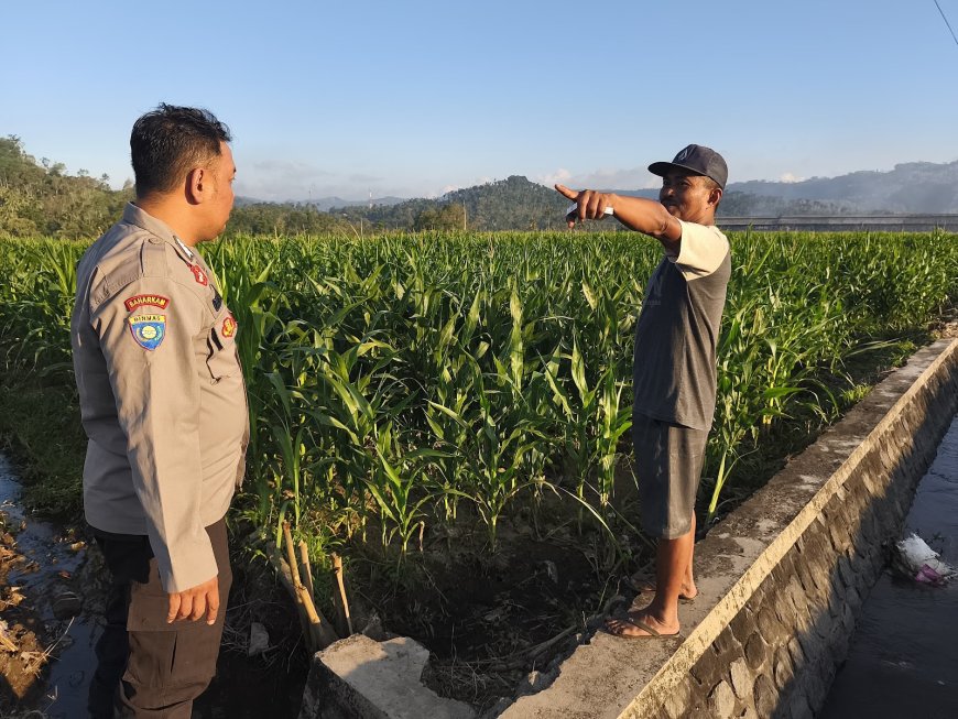 Polres Malang Jaga Produktivitas Petani Lewat Pendampingan di Lapangan