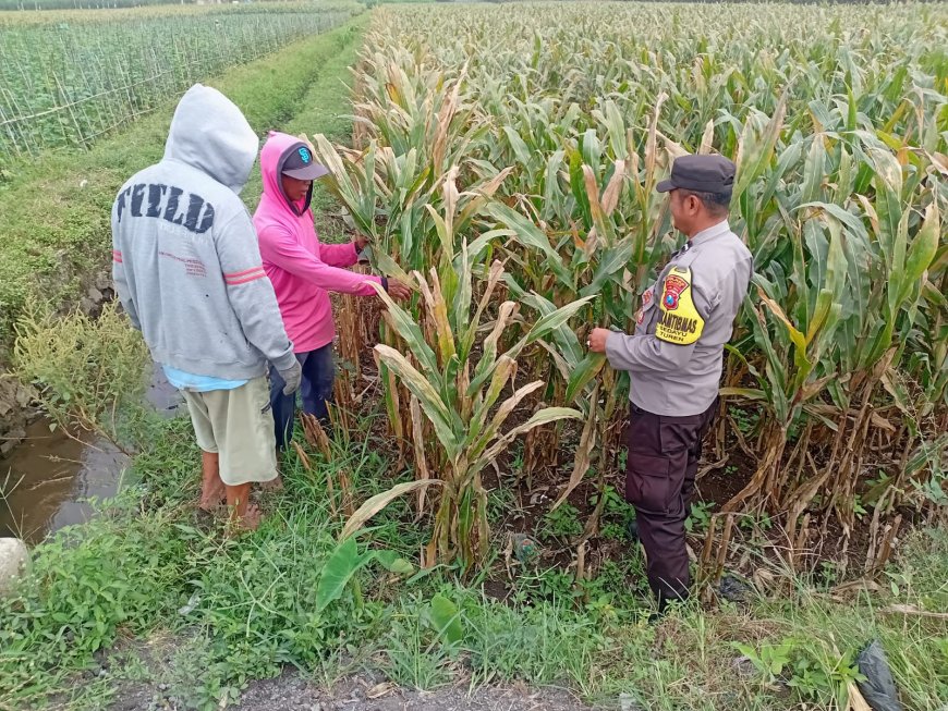 Lewat Desa Binaan, Polisi Dorong Warga Aktif Kelola Lahan Produktif